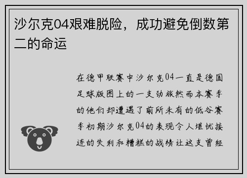 沙尔克04艰难脱险，成功避免倒数第二的命运